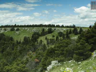 La imbocchiamo, per ritrovarci subito davanti a un�enorme cavit� sul cui fondo cresce rigogliosa una vegetazione fatta di pini piantati negli anni 50